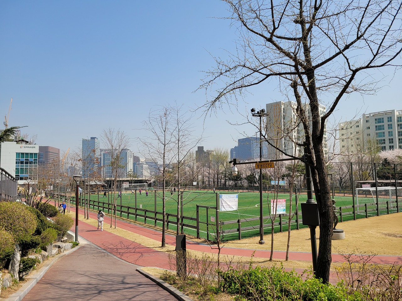 名将林高远