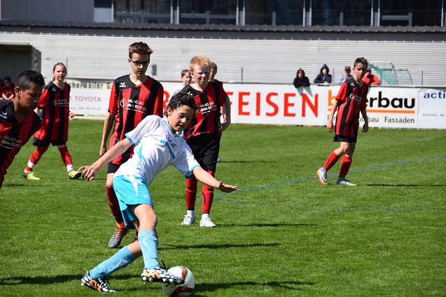 他们显然还 他们显然还