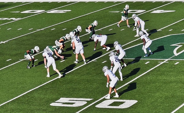 从阻断篮网 从阻断篮网