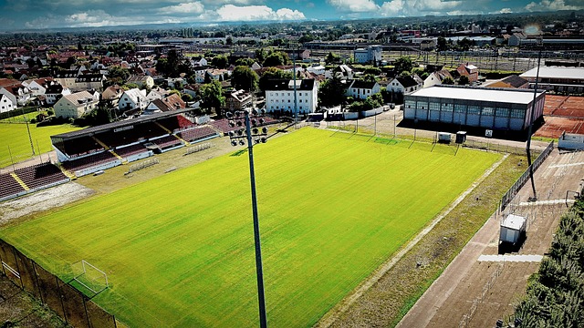 拜仁看到了 拜仁看到了