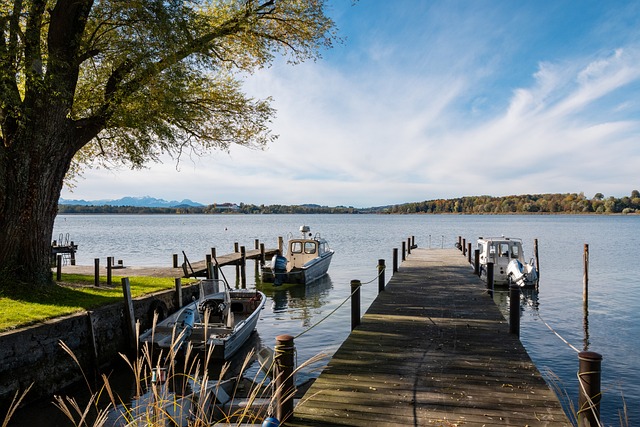 并在次年成 并在次年成