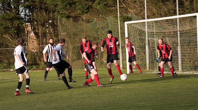 通过引进顶 通过引进顶